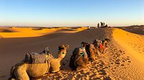 2 Days/1 Night Sahara Desert Trip: Fes - Merzouga - Fes