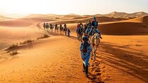 2 Days/1 Night Sahara Desert Trip: Fes - Merzouga - Marrakech