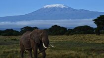 Private 3 Days Amboseli National Park Safari