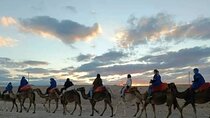 Half Day Camel Riding and Dinner Show Tour in Agafay Desert 