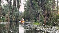 3 Hours of Kayaking at the Ancient Canals of Xochimilco