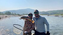 Half Day Private Walk Wade Guided Fly Fishing Jackson Hole