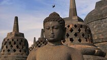 5 Days Borobudur, Prambanan, Tumpaksewu, Bromo, Ijen Tour to Bali