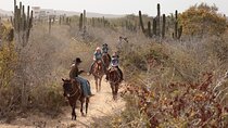 Horseback Riding Tour in Cabo San Lucas