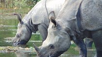 2 nights 3 days Chitwan Jeep Safari Package