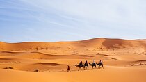 3 Days to Merzouga's Sahara: from fez to Marrakech 