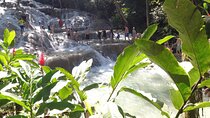 Falmouth to Ocho Rios Guided Tour (Dunn's River Falls & Shopping)