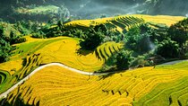 5-Day North Vietnam: Hanoi -Halong Bay -Ninh Binh-Sapa from Hanoi