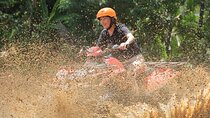 Ubud's Quad Bike - ATV Single Ride 