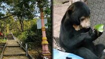 Cambodia Wildlife Sanctuary and Countryside Tour