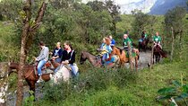 Horseback riding tour Nahuazo route.