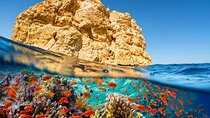Snorkeling Full Day Ras Mohammed National Park By Boat from Sharm