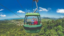 Port Douglas: Kuranda tour with Skyrail or Scenic Train