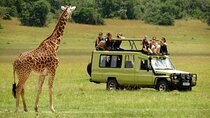 4-Day Majestic Group Tour in Safari