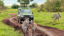 4-Day Northern Tanzania Camping Tour Safari