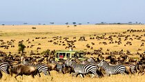 Best Of Six Days Safari Camping safari