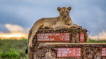Private Tour to Nairobi National Park and the Karen Blixen Museum