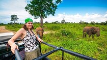 Small Group Serengeti and Ngorongoro Crater Adventure Safari