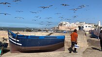 From Marrakech: Full-Day Trip to Essaouira