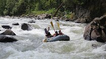 Private Rafting Adventure at Rio Sarapiqui