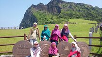 Small group Private Taxi Tour DAY experience in Jeju island