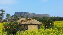 Beautiful Jeju Island Private UNESCO day Tour