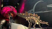 Private Guided Tour of Natural History Museum - Skip the Line