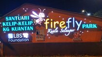 Fireflies Kuala Selangor & Batu Caves (With Fireflies Tickets) 