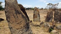 Day Tours around Addis Abeba, Melka Kunture and Adadi Mariam 