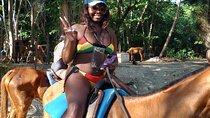 Horseback riding, Blue hole or Dunn's River Combo