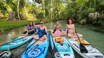 Florida paddle excursions