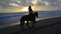 Horseback Riding at Sunrise on the Beach of Punta Cana