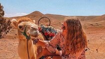 Agafay Desert and Three Valleys Tour from Marrakech