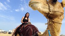 Magical Camel Riding Through the Breathtaking Desert - Hurghada