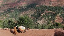 2 Day Private Trekking at Berber villages in Atlas Mountains