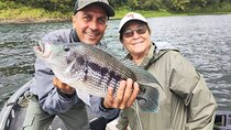 Lake Arenal Sport Fishing Incl. Boxlunch