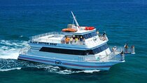 Private Day Tour to Red Sea Snorkelling from Luxor