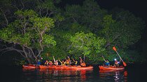 Evening Bali Mangrove Canoe Tour