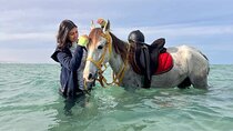Horseback Riding Tour Desert & Beach at Nabq bay - Sharm ElSheikh
