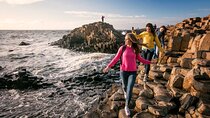 Giant's Causeway Tour from Belfast - Luxury Bus + Castles Tour