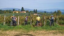 E-bike Chianti Classico & Tuscany tour with Wine & Lunch at Farm