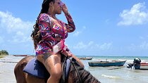 Dunn’s River & Horse Back Riding Activity from Montego Bay