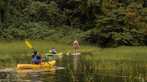 Discover the Beauty of Arenal Lake on a Guided Kayaking Tour