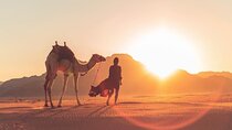 Explore Wadi Rum Desert with Camel Ride Experience with Stay