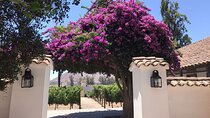 Private Tour to Viña Santa Rita