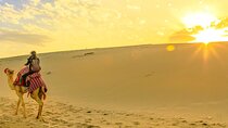 Private Sunrise Safari Tour in Abu Dhabi with Camel Ride