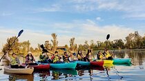Private Kayak tour through the canals of Xochimilco