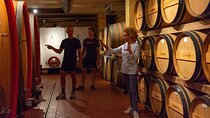 Tour of the cellar and tasting of 6 wines