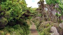 Hike 3 hours Inland Terceira Island