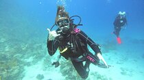 Full Day Scupa Diving And Snorkeling sea trip activity - Hurghada